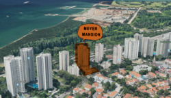 Meyer Mansion (D15), Apartment #249106361